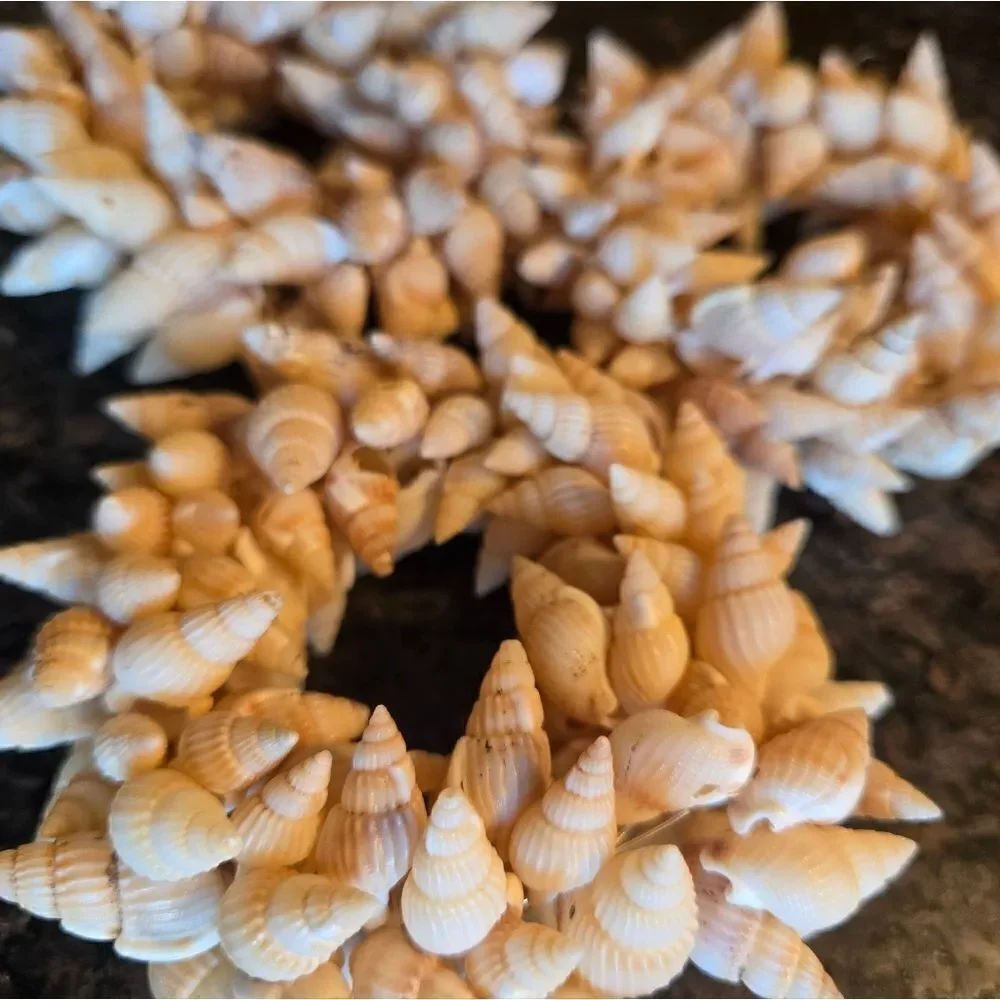 Sea Shell Napkin Rings x 3